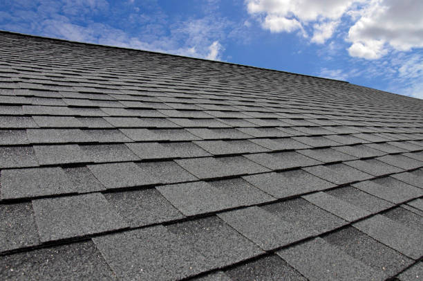 Best 4 Ply Roofing  in Ionia, MI
